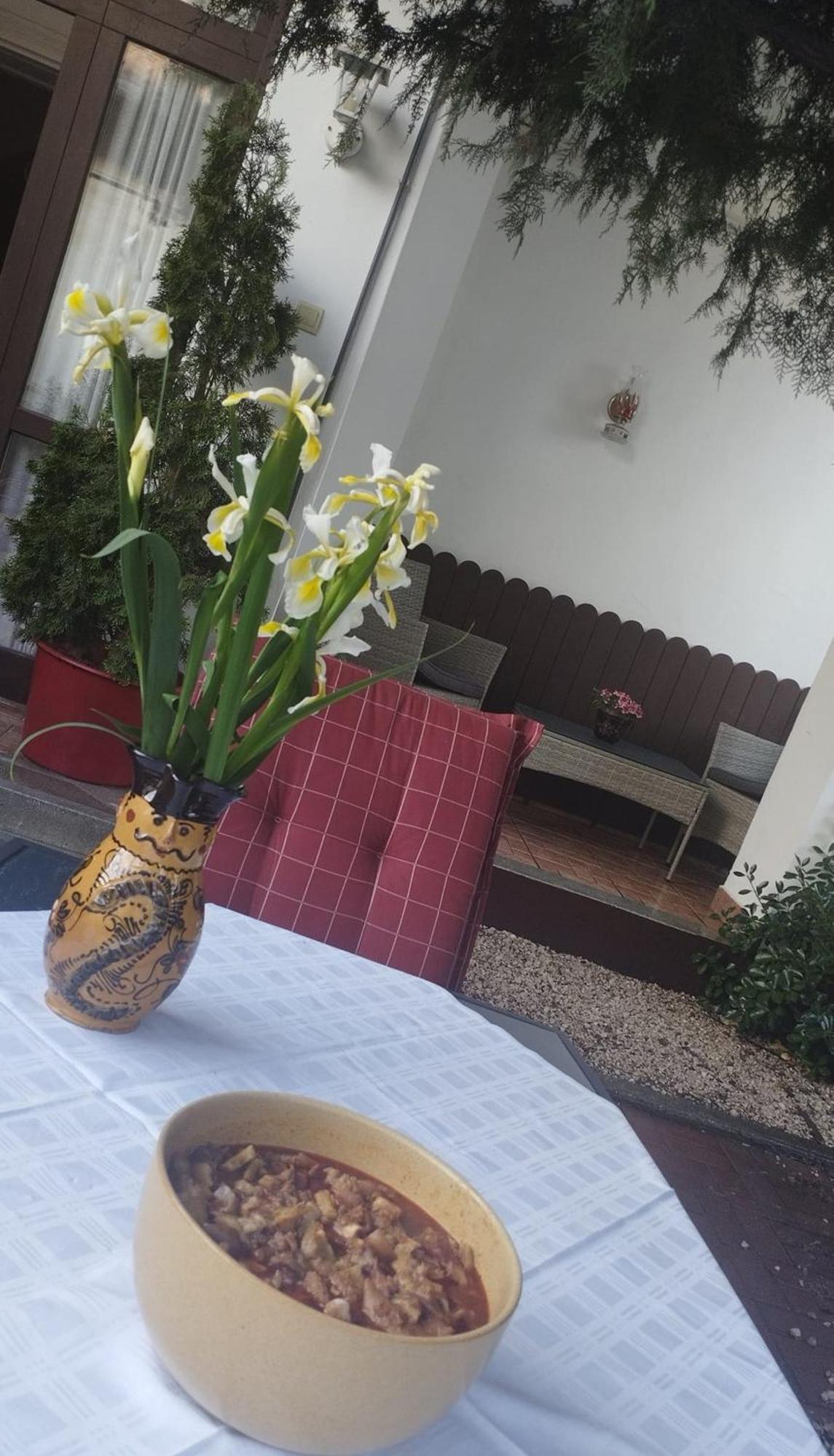 Erzsébet Vendégház és Apartman Hajdúszoboszló Esterno foto